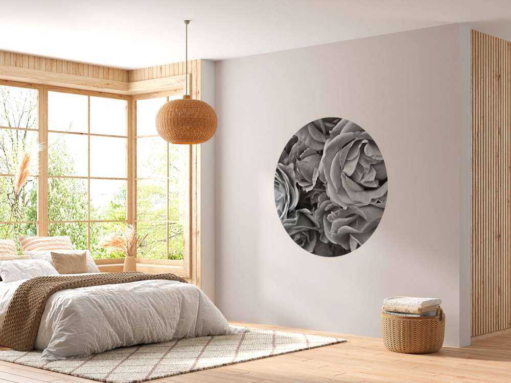 Roses black and white