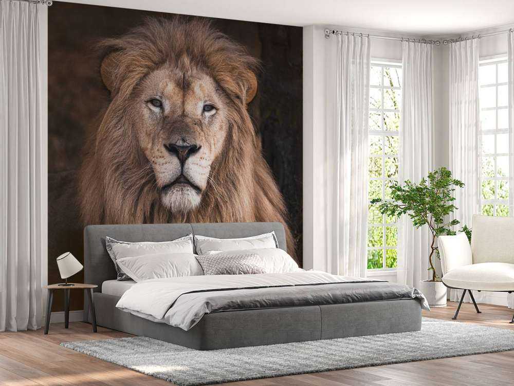 Portrait of a lion