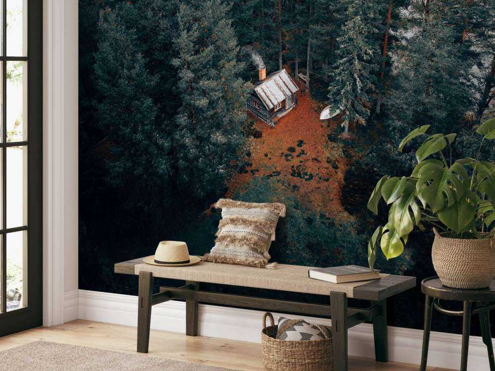 Cabin surrounded by forest and lakes