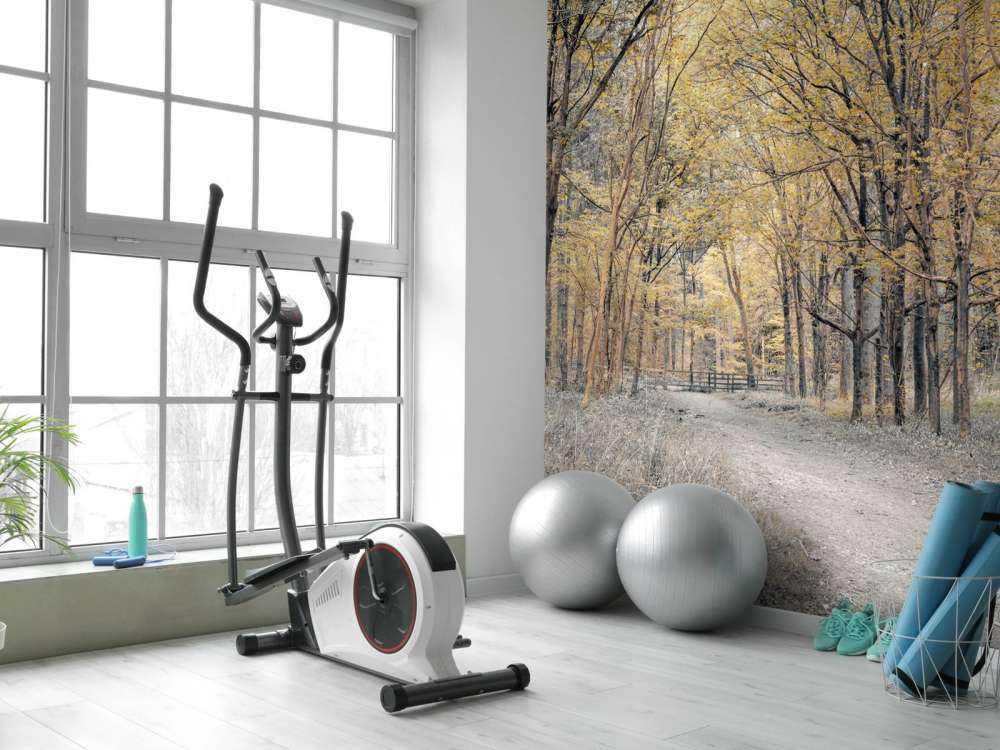 Forest road during autumn