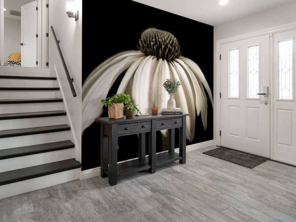 Cone flower close-up