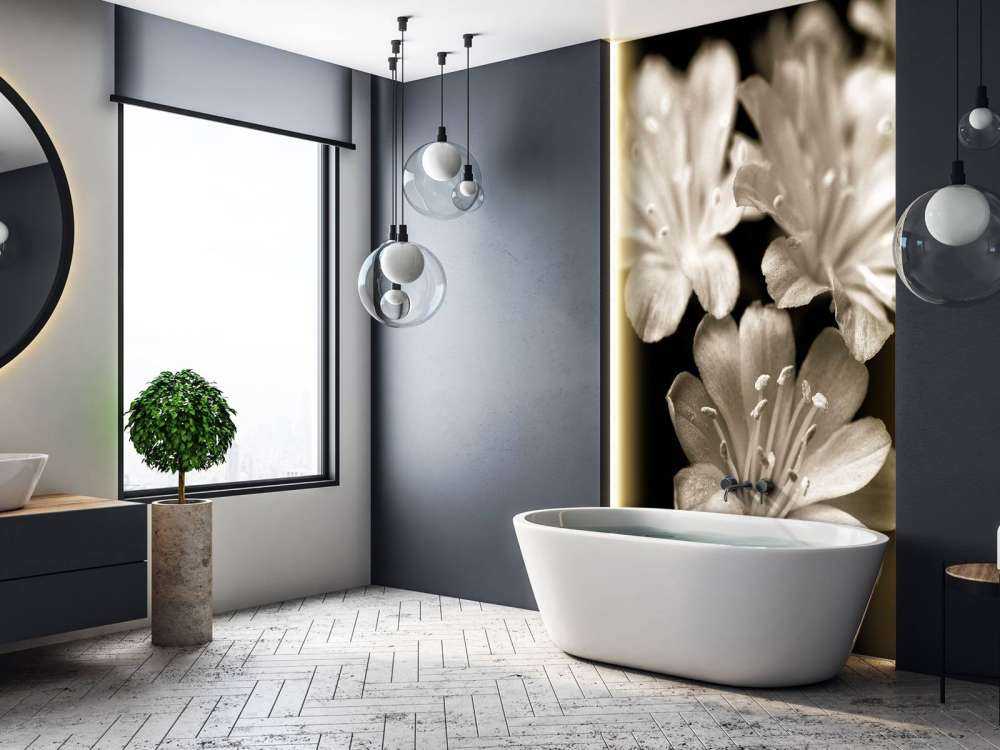 Lewisia blossom close-up