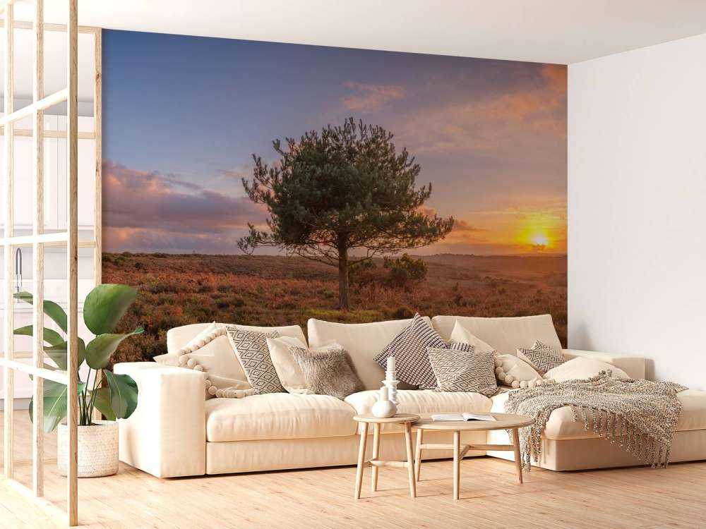 Sunset at a deserted area