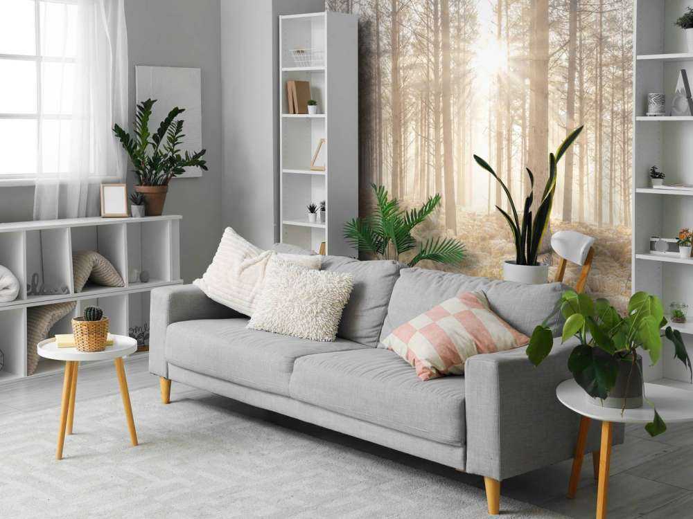 Sun rays in the cold forest