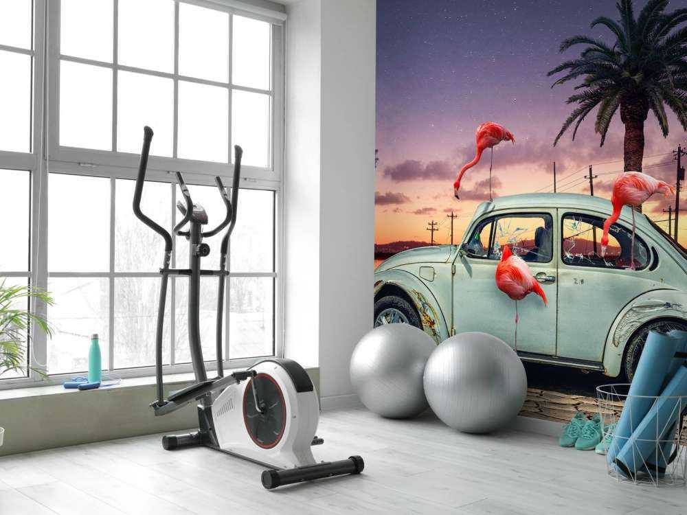 Flamingos Ate My Car