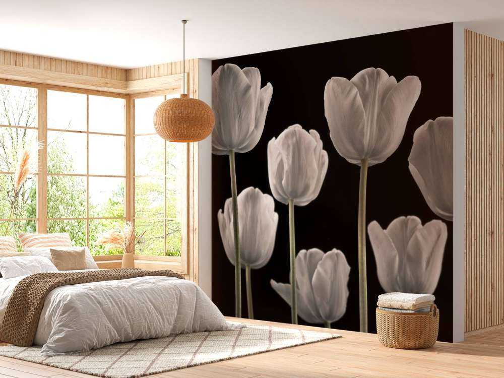 Different tulips