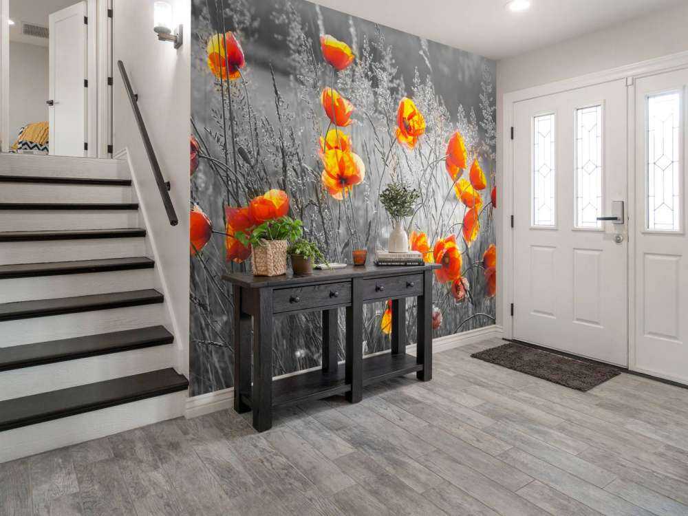 Oranje klaprozen met een zwart-witte achtergrond