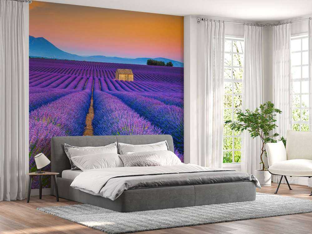 Prachtig bloemenveld van lavendel