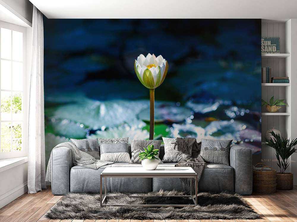 Lotusbloem in opkomend zonlicht