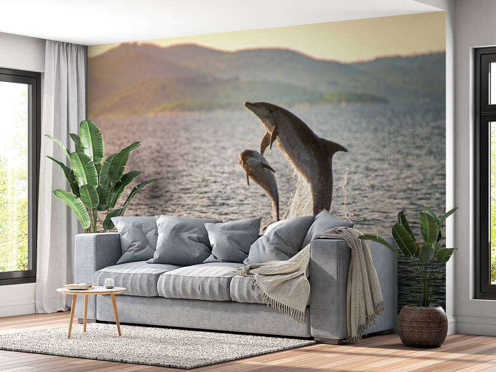 Two jumping dolphins