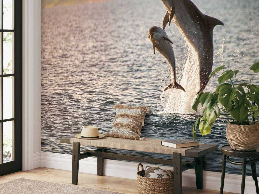 Two jumping dolphins