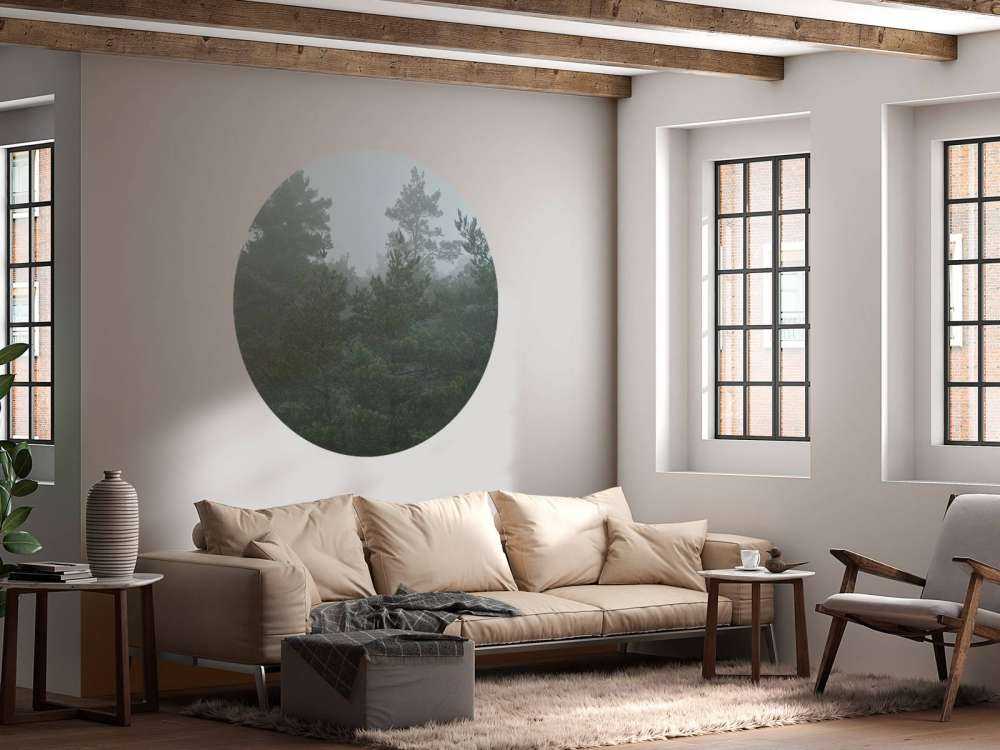 Naaldbomen in de mist