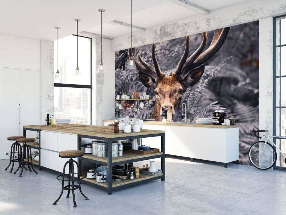 Close-up deer
