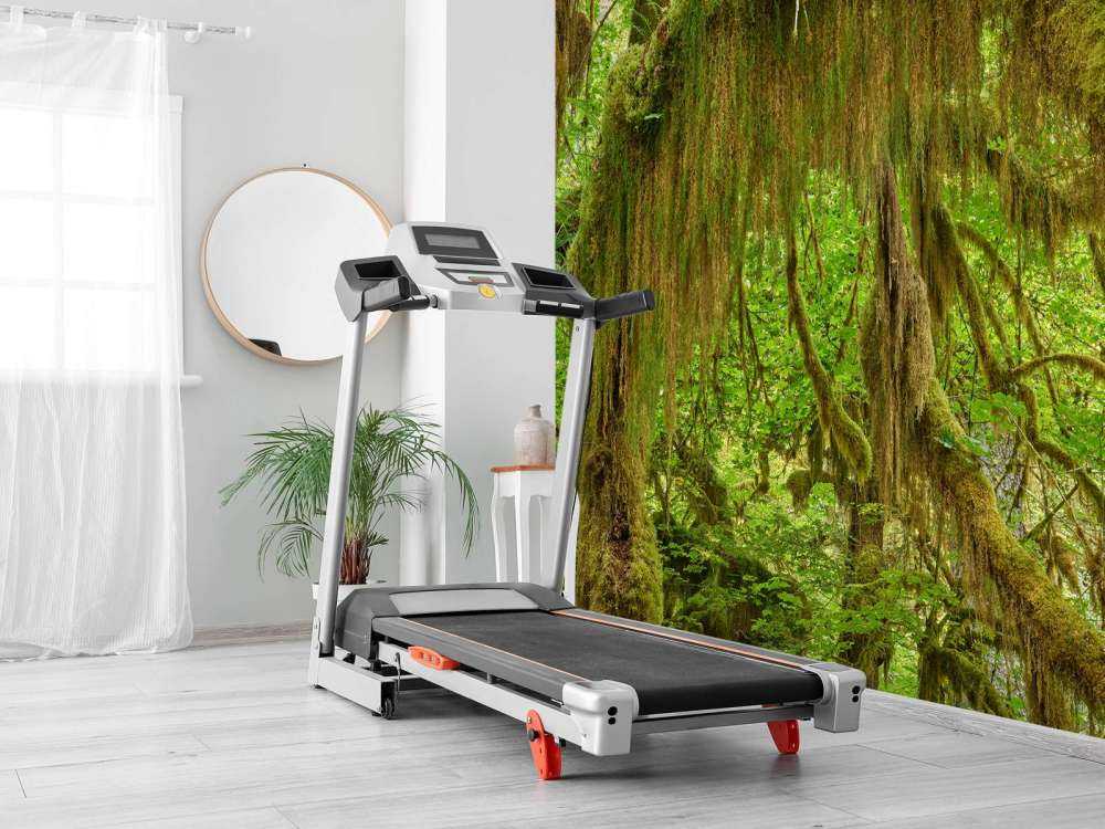 Gedetailleerde takken