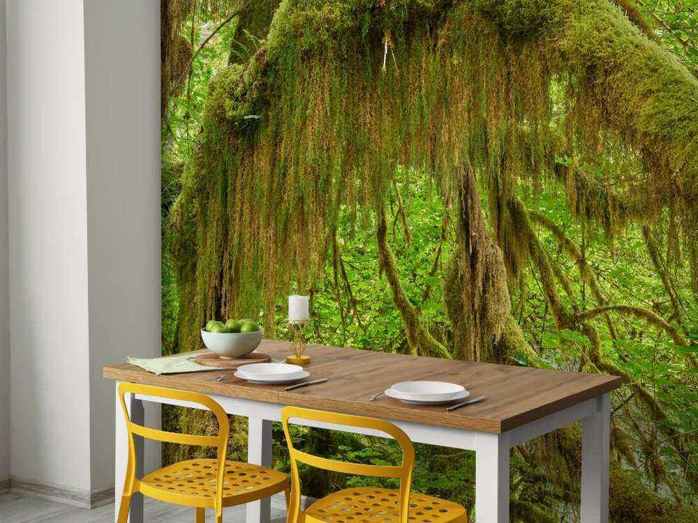 Gedetailleerde takken