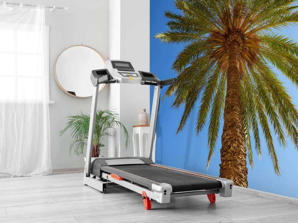 Gedetailleerde Palmboom