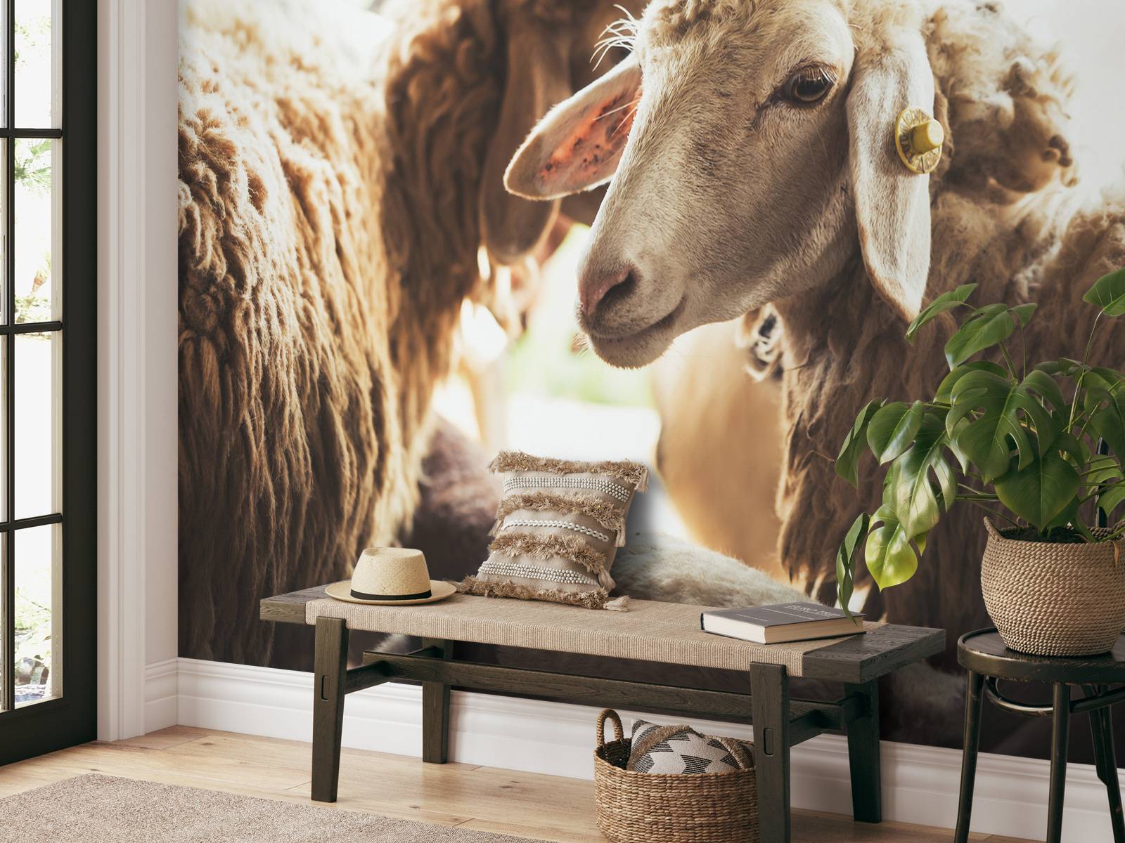 Sheep in stable