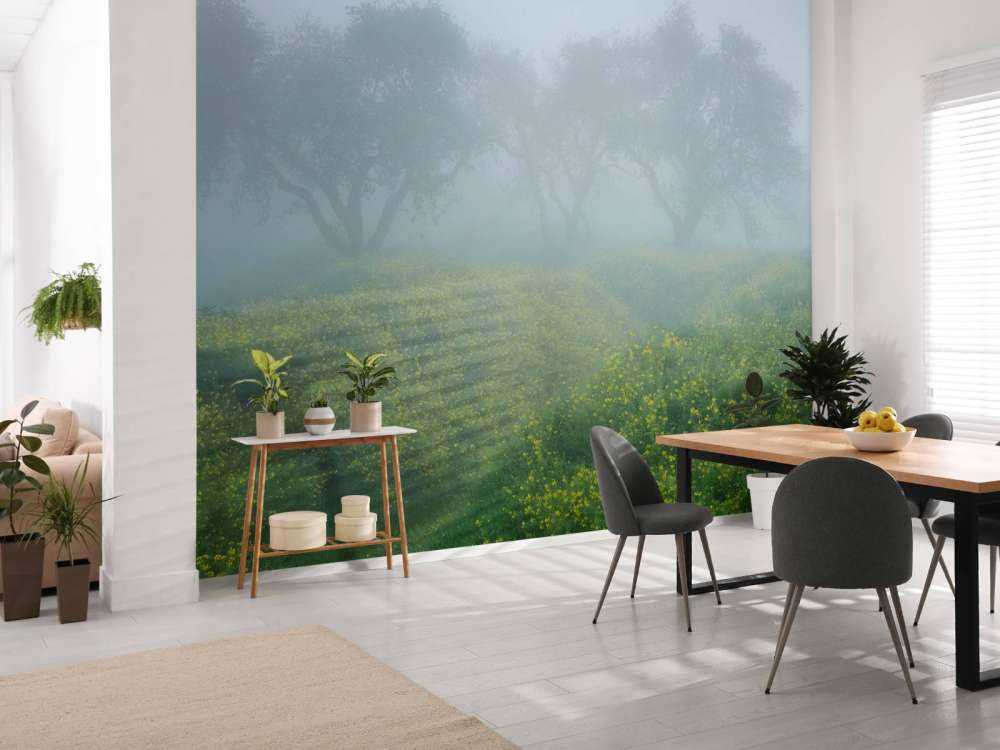 Bomen in dichte mist