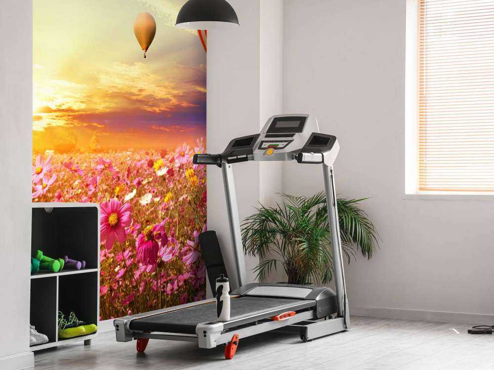 Luchtballonnen boven een bloemenveld