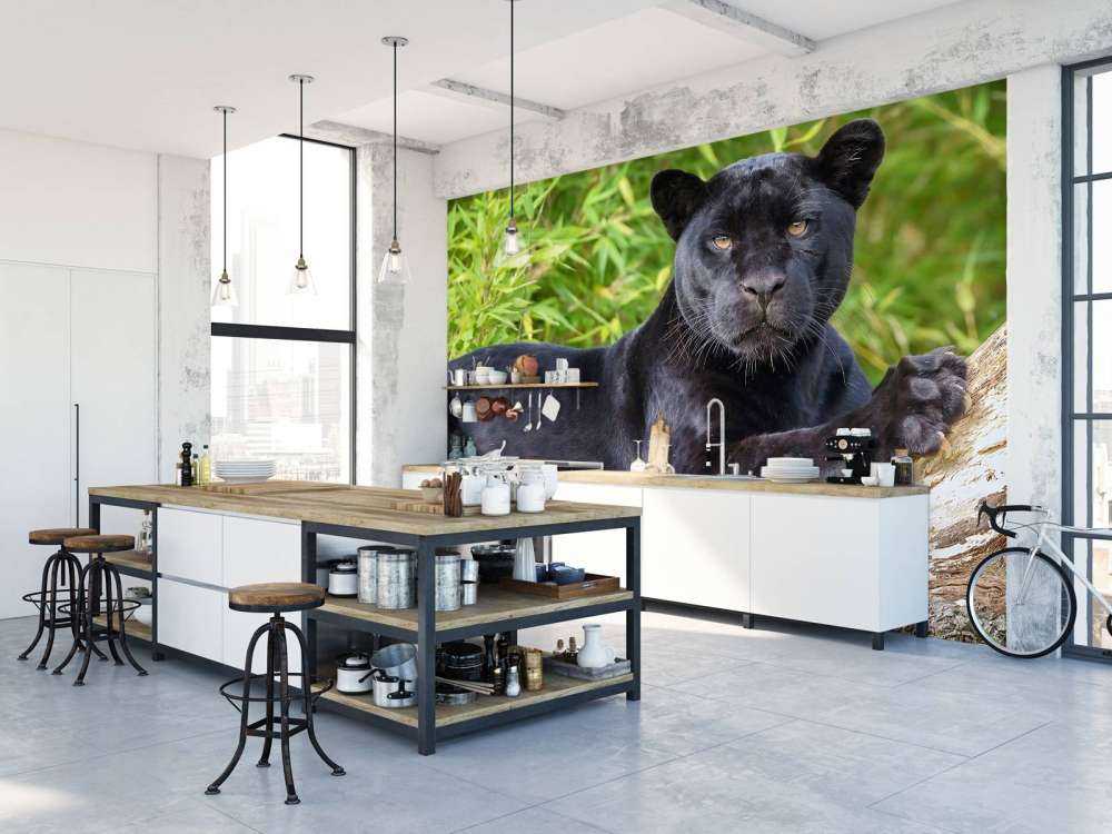 Black panther on a tree