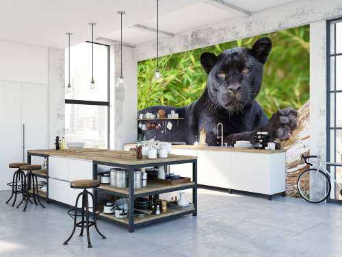 Black panther on a tree