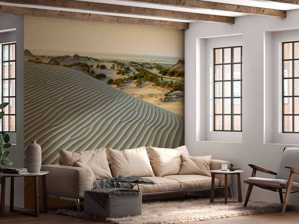 Duinen bij zonsondergang