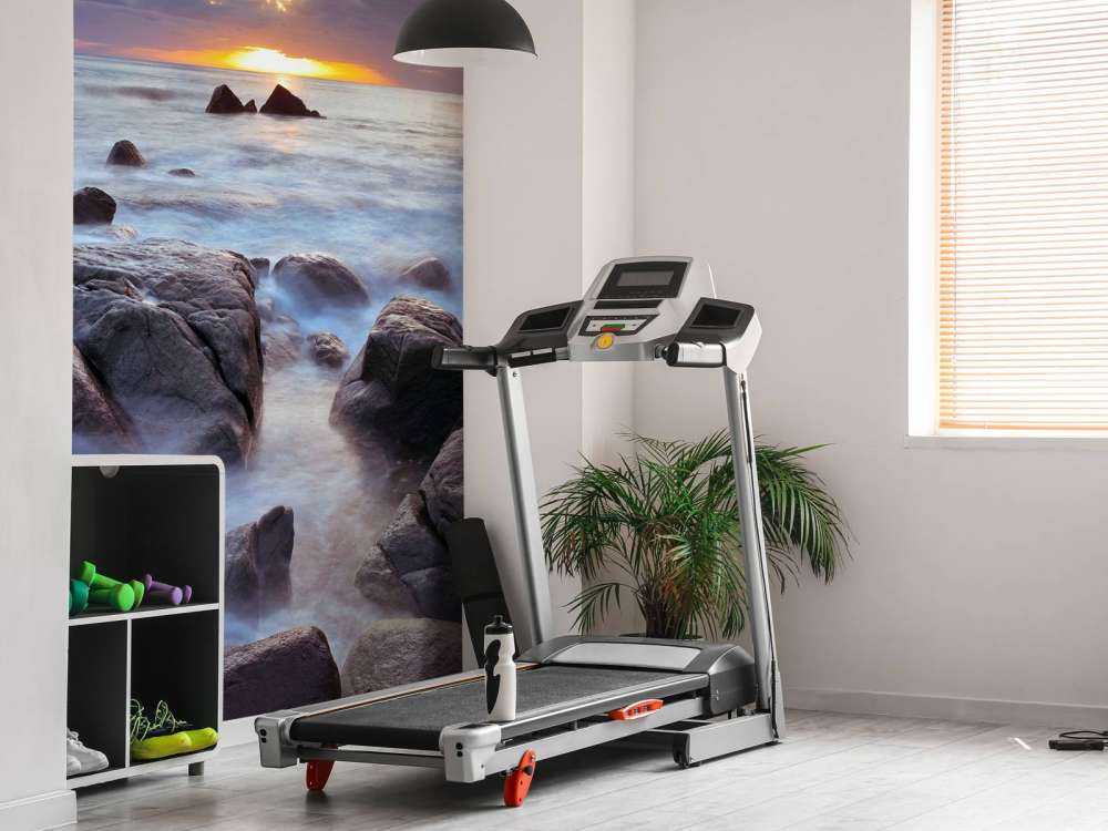 Sunset over a rocky coast