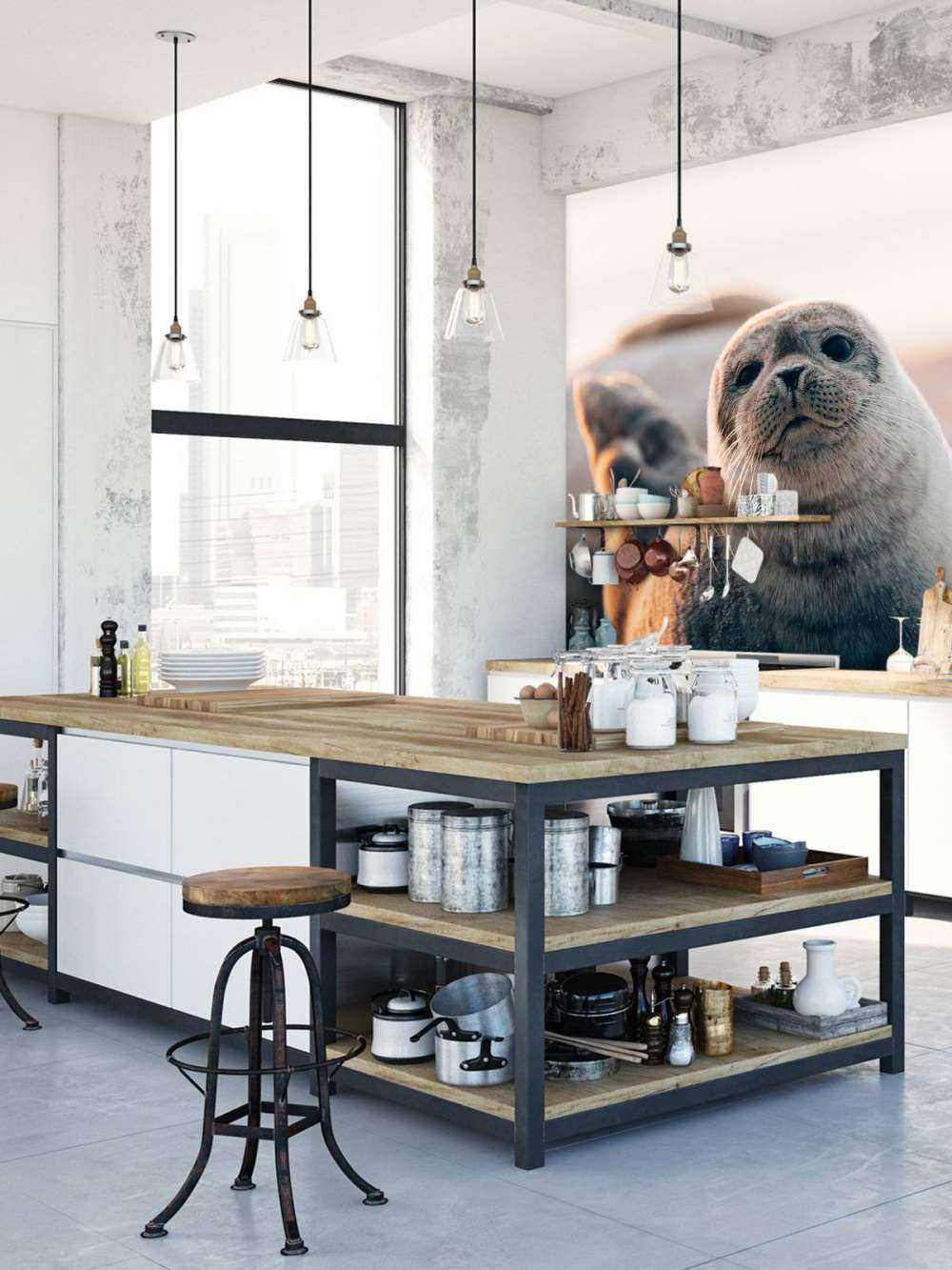 Seal on beach in evening light