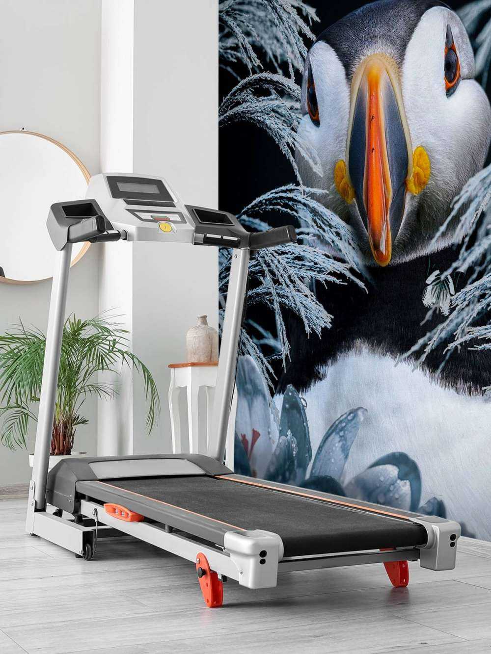 Atlantic Puffins Portrait