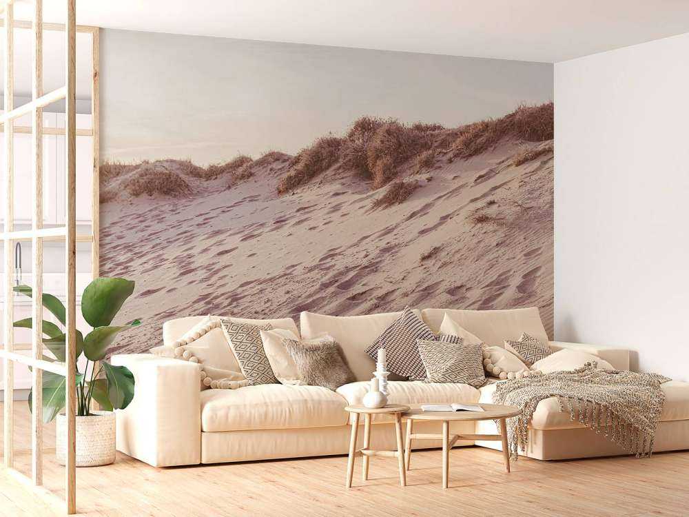 Beach dunes
