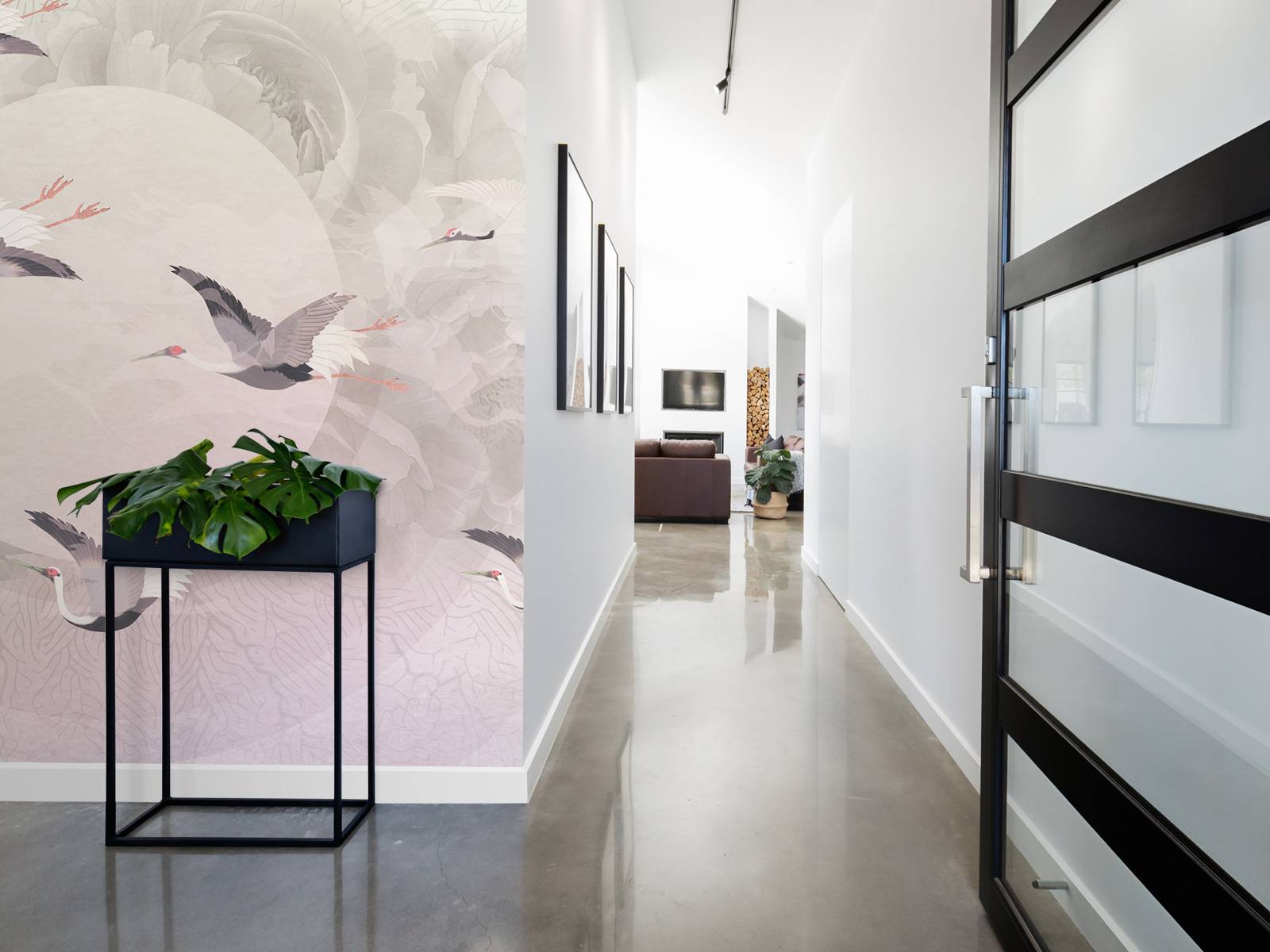 Serenity 6