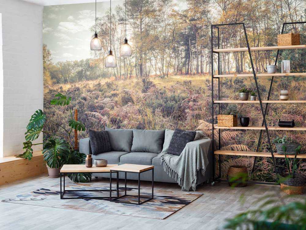 Forest in the morning