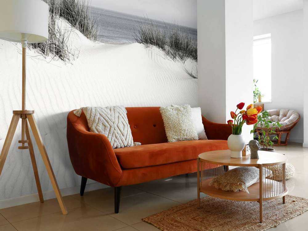 Dune passage to the beach black and white