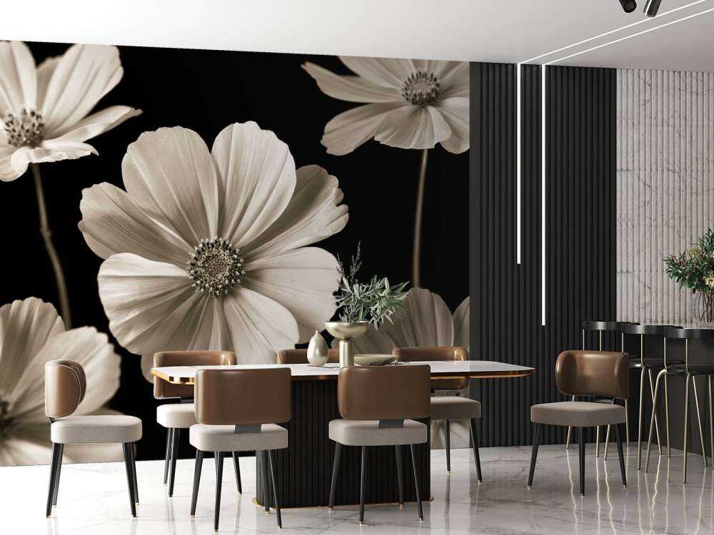 Multiple Cosmos flower