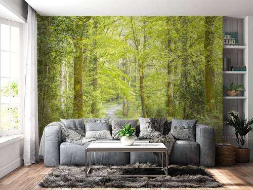 the green forest