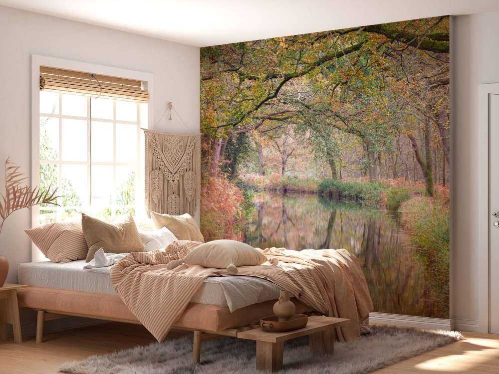 Covered colorful forest