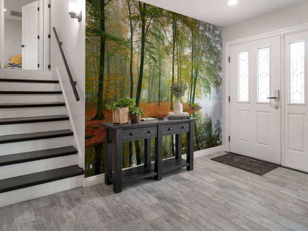 Reflection of trees in pond