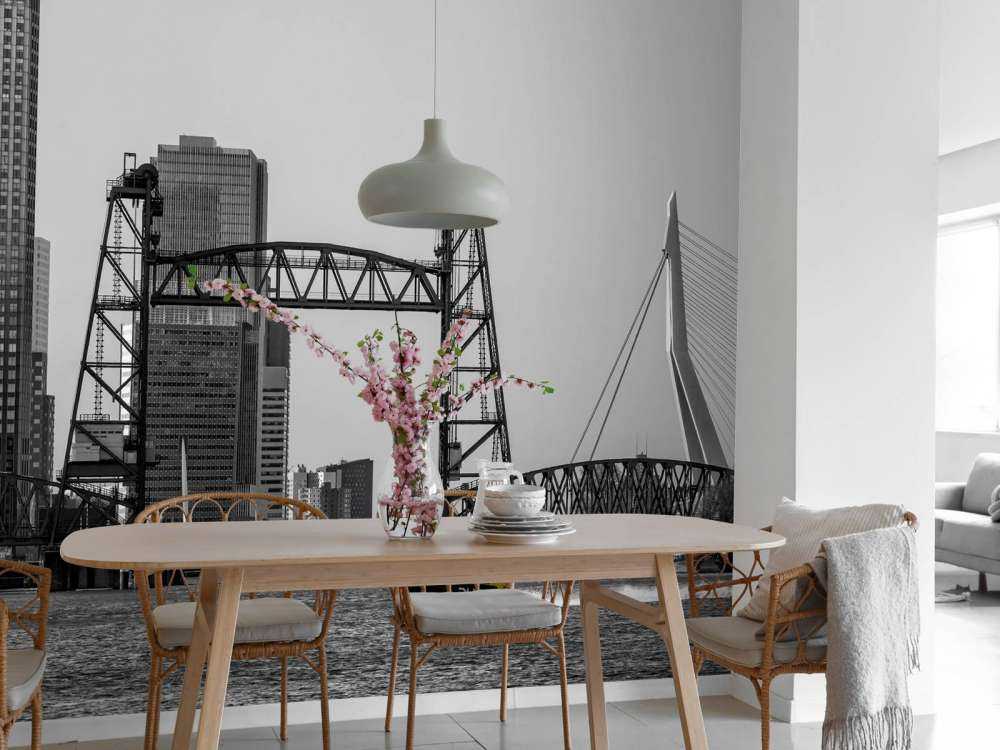 The Hef in black and white (NL)