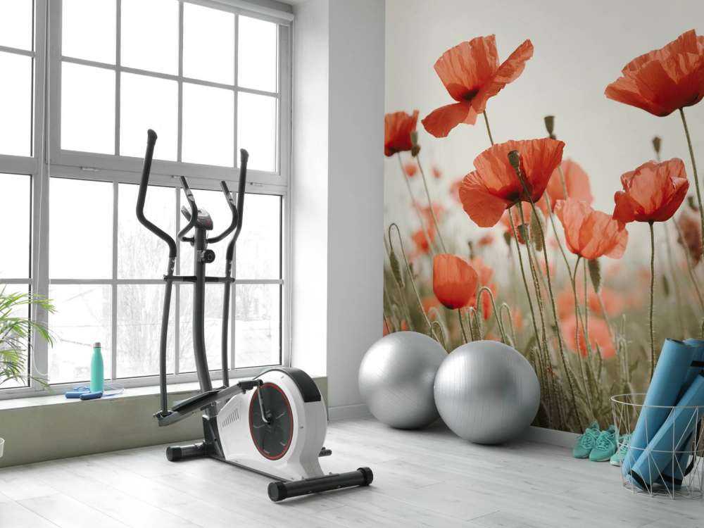 Poppies in vintage colours