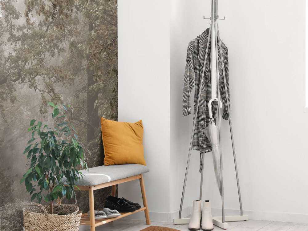 Path through misty forest