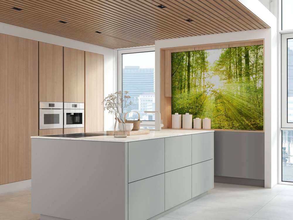 Sunshine in a green forest