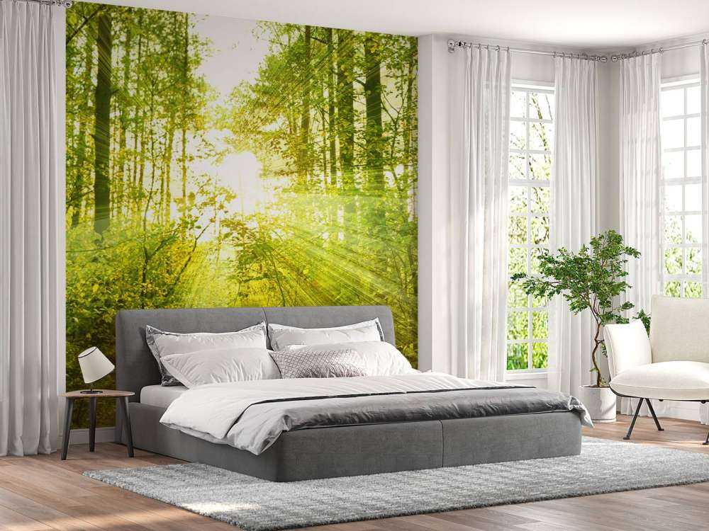 Sunshine in a green forest