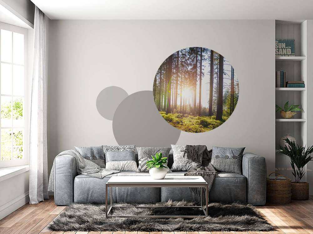 Spring forest
