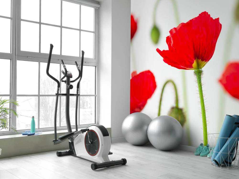 Close-up red poppies