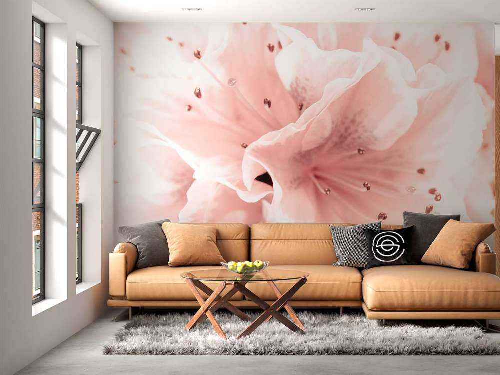 Azalea flower