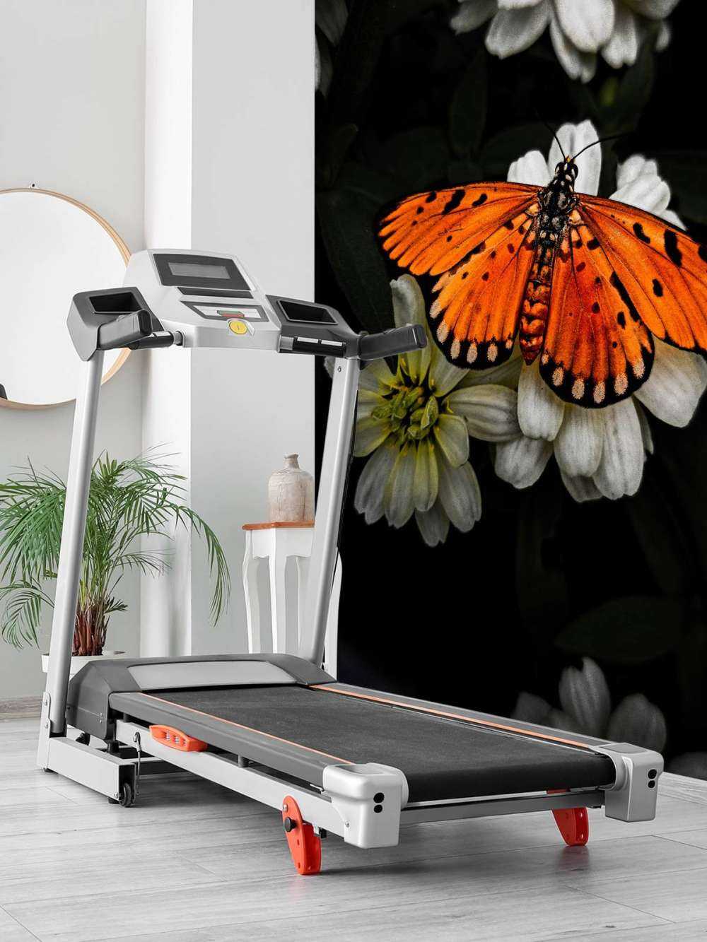 Monarch butterfly on a flower