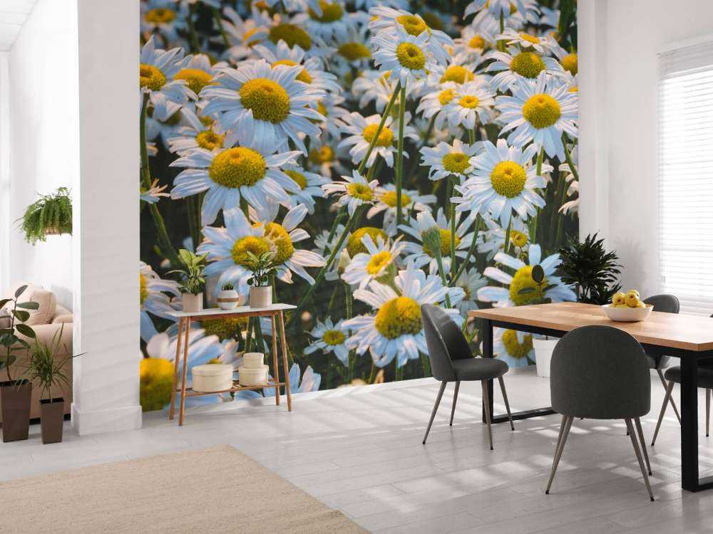 Vintage Daisies