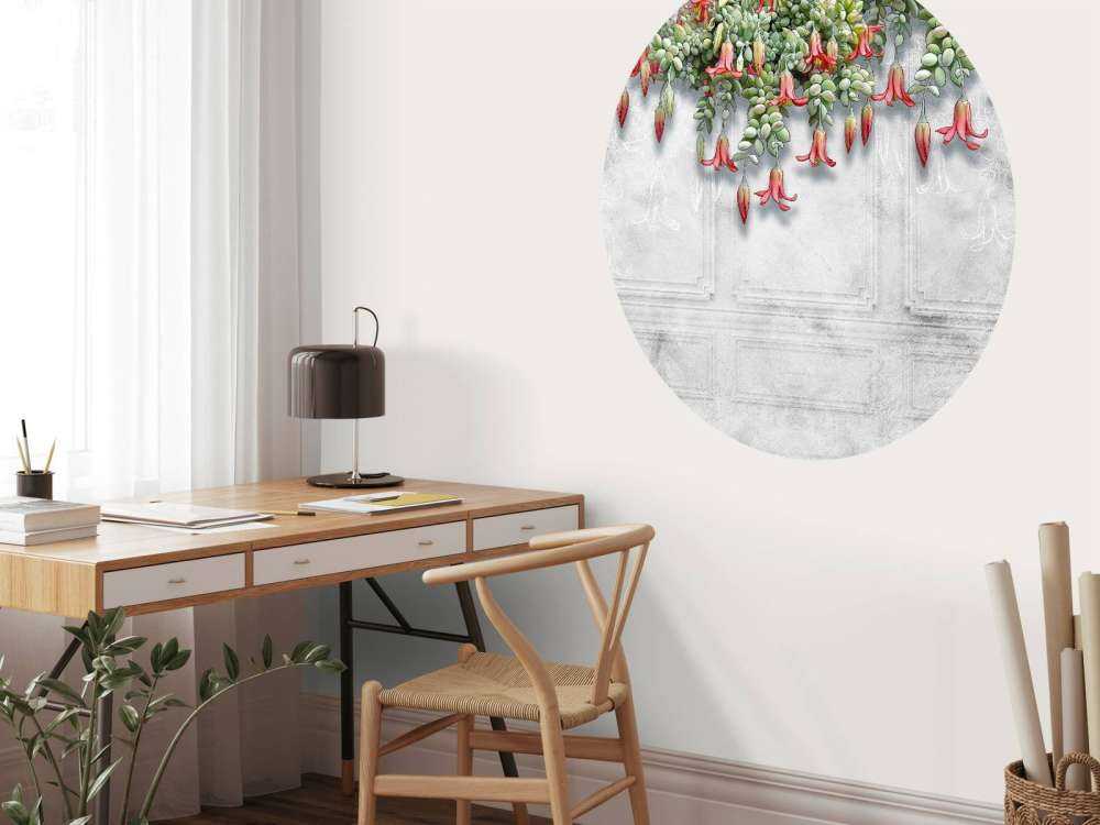 Exotic flowers on concrete