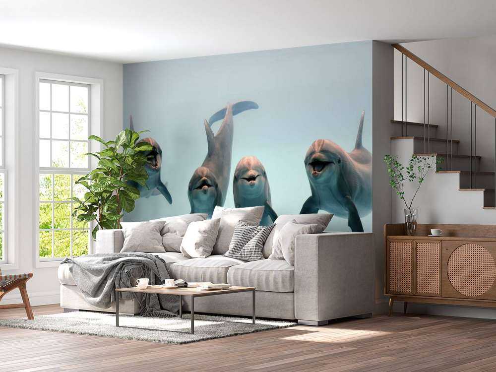 Laughing dolphins