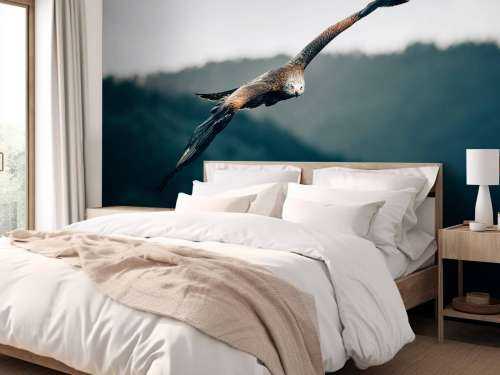 Red kite
